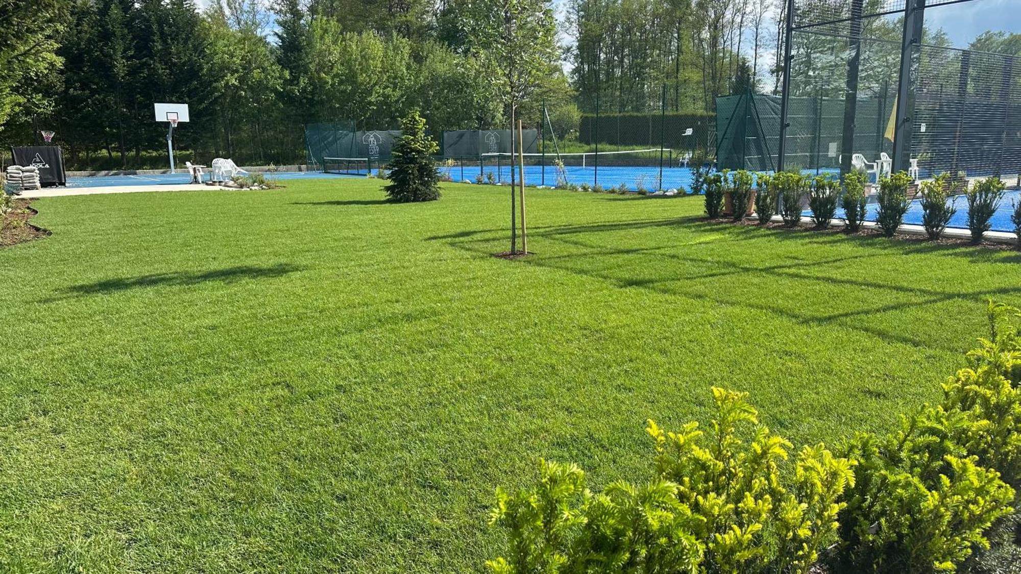 Appartamenti E B&B Casa Ester Baselga di Pinè Eksteriør billede